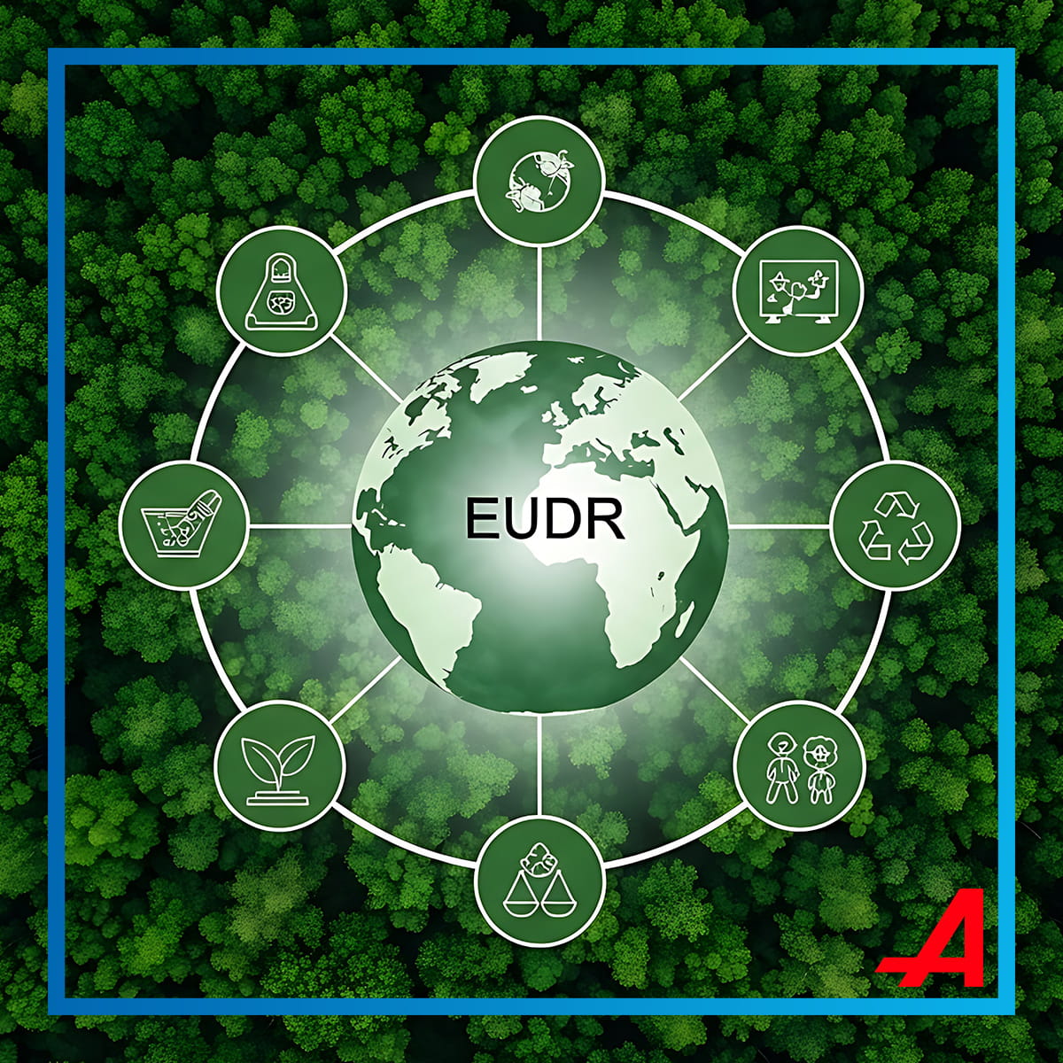 Aktuelle Entwicklungen Zur EUDR aktuelle-entwicklungen-zur-eudr