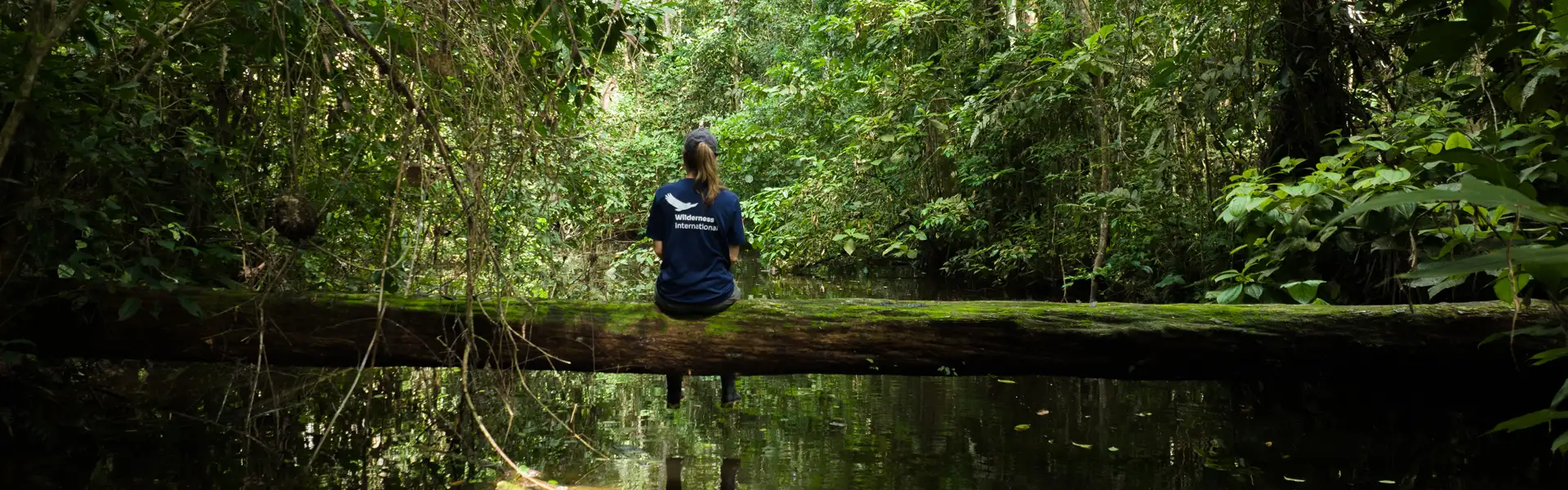 am2402_Verantwortung_WI-Baum_1920x600 am2402_Verantwortung_WI-Baum_1920x600